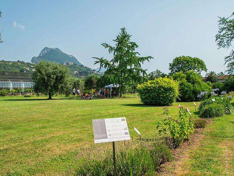Orto Botanico Di Padova, Italy